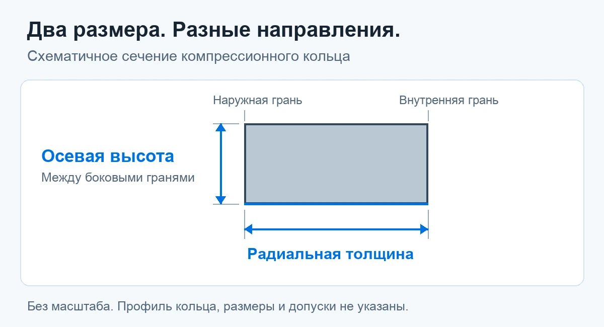 Схематичное сечение кольца: осевая высота между боковыми поверхностями и радиальная толщина между внутренней и наружной поверхностями